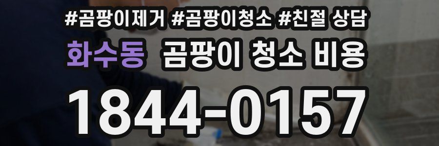 화수동 곰팡이 청소 비용