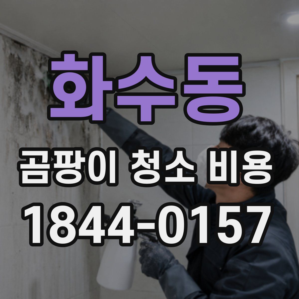 화수동 곰팡이 청소 비용