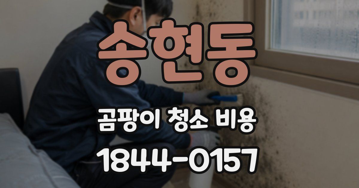 송현동 곰팡이 청소 비용