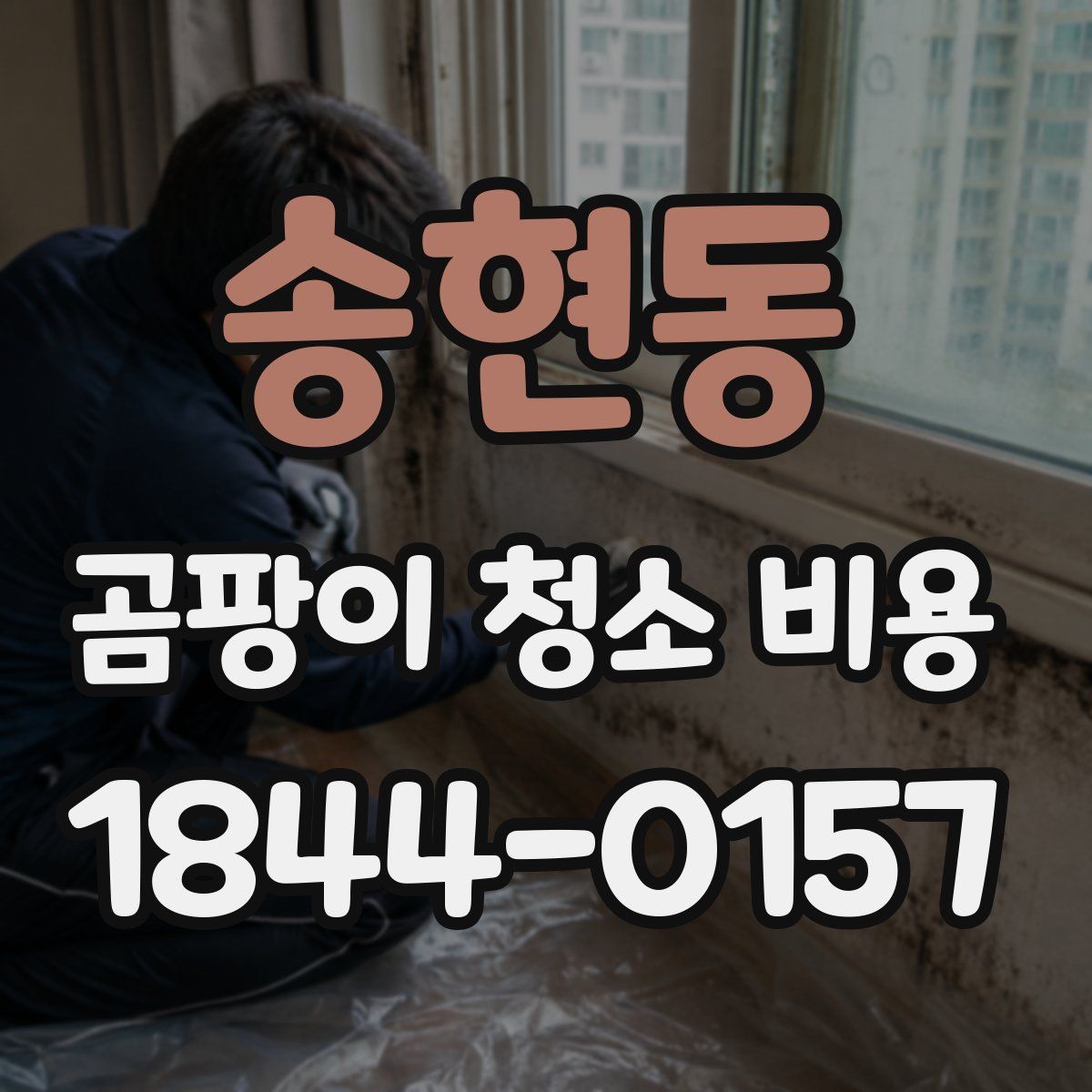 송현동 곰팡이 청소 비용