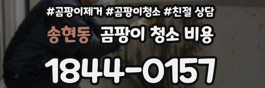 송현동 곰팡이 청소 비용