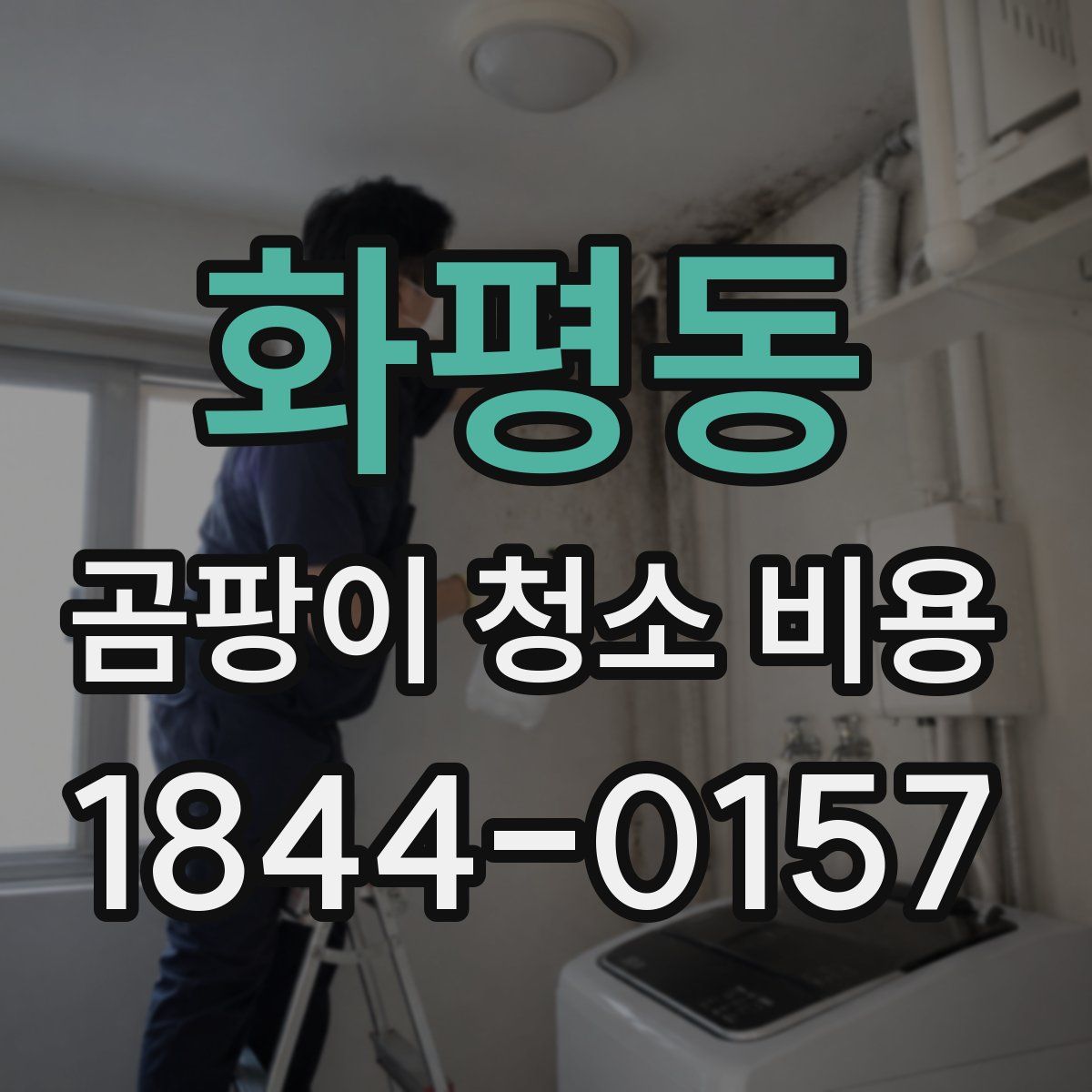 화평동 곰팡이 청소 비용