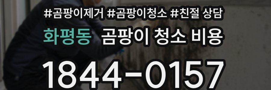 화평동 곰팡이 청소 비용