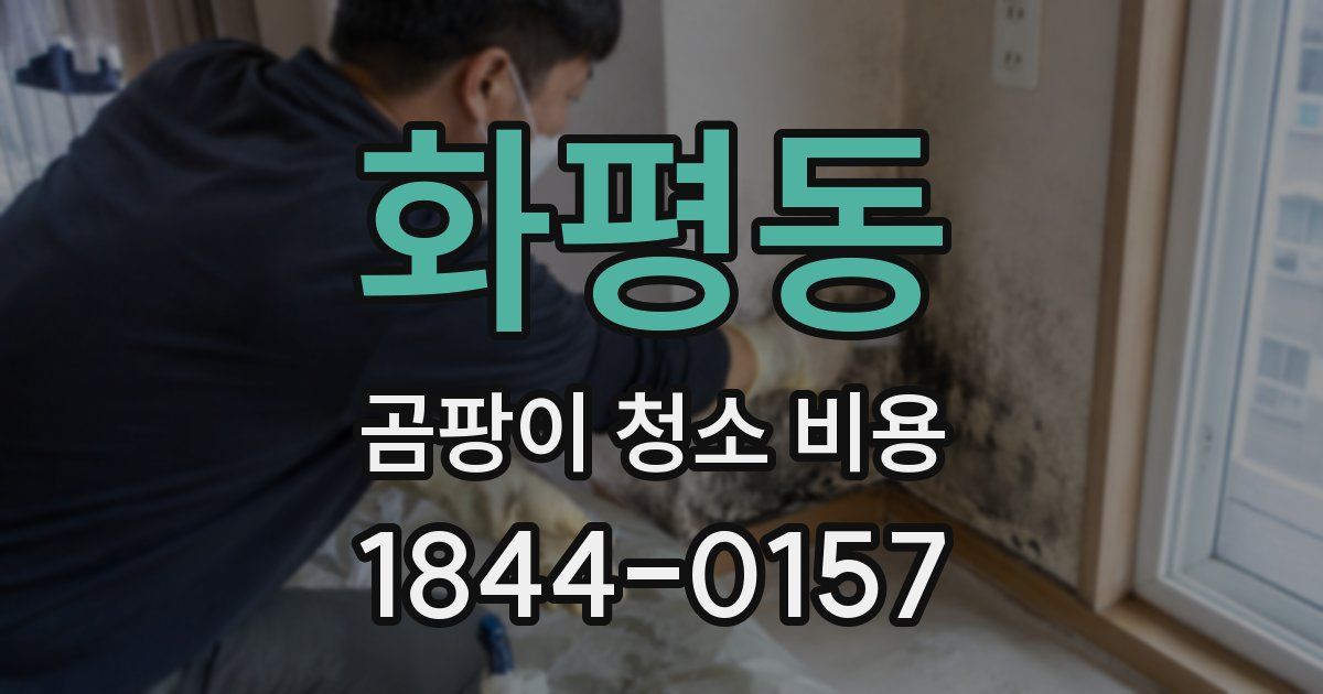 화평동 곰팡이 청소 비용