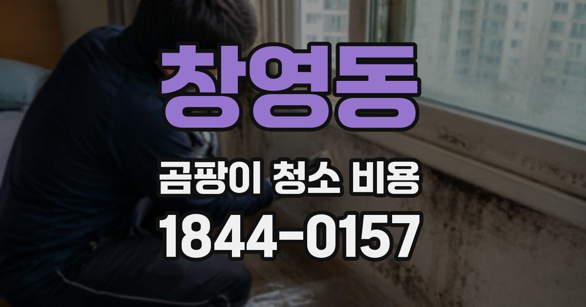 창영동 곰팡이 청소 비용