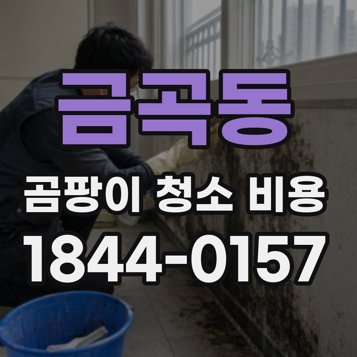 금곡동 곰팡이 청소 비용