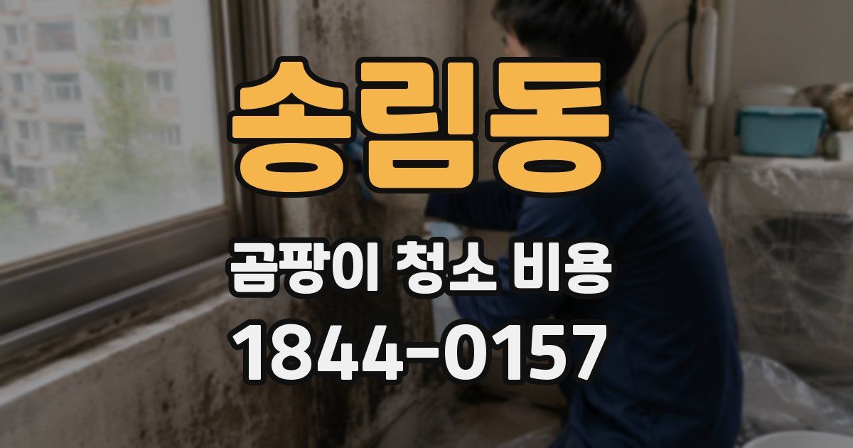 송림동 곰팡이 청소 비용