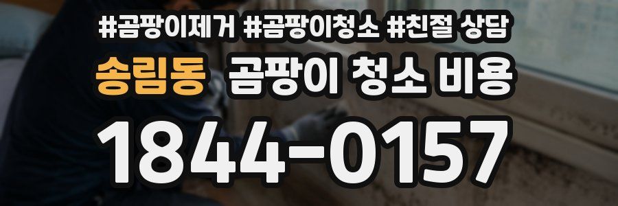 송림동 곰팡이 청소 비용