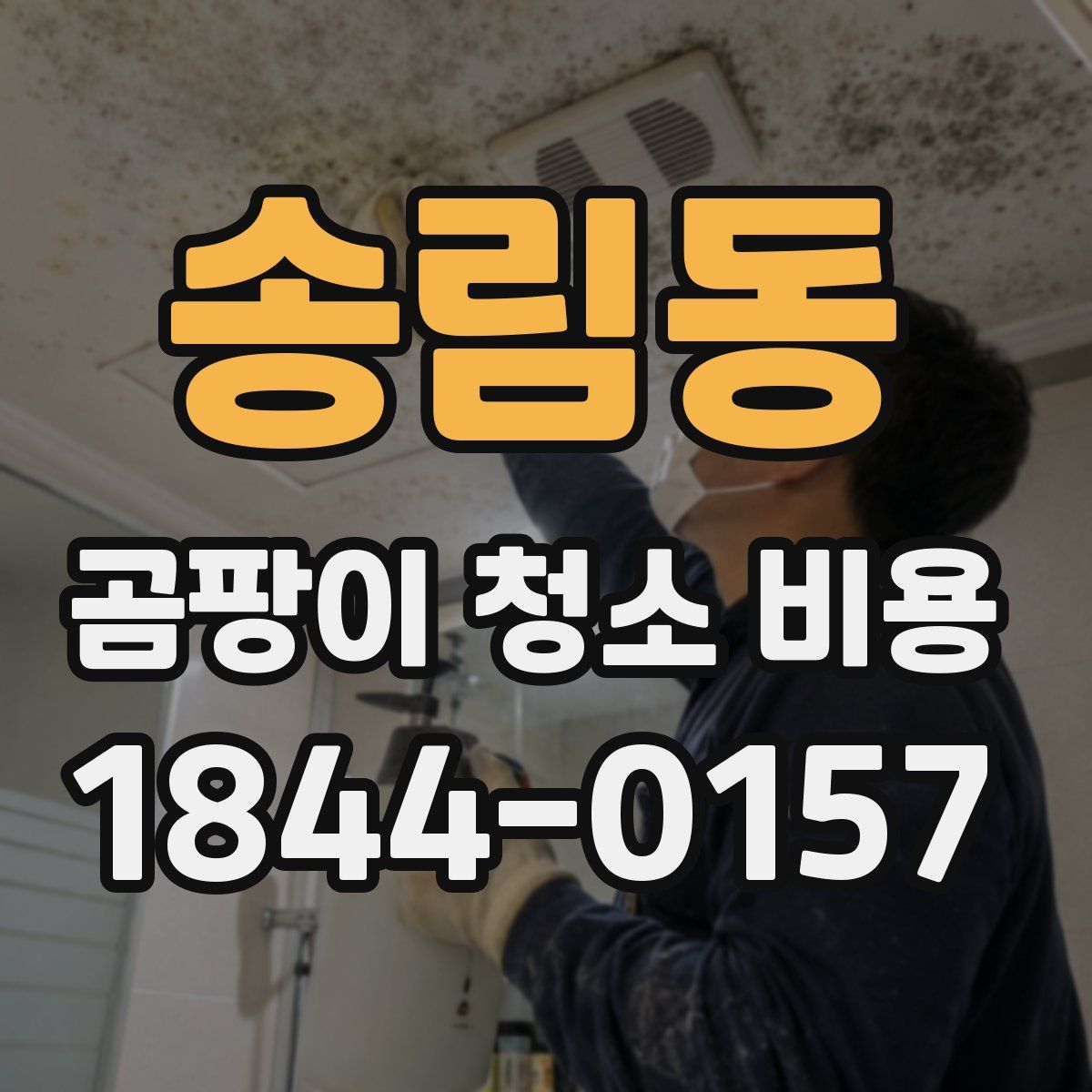 송림동 곰팡이 청소 비용
