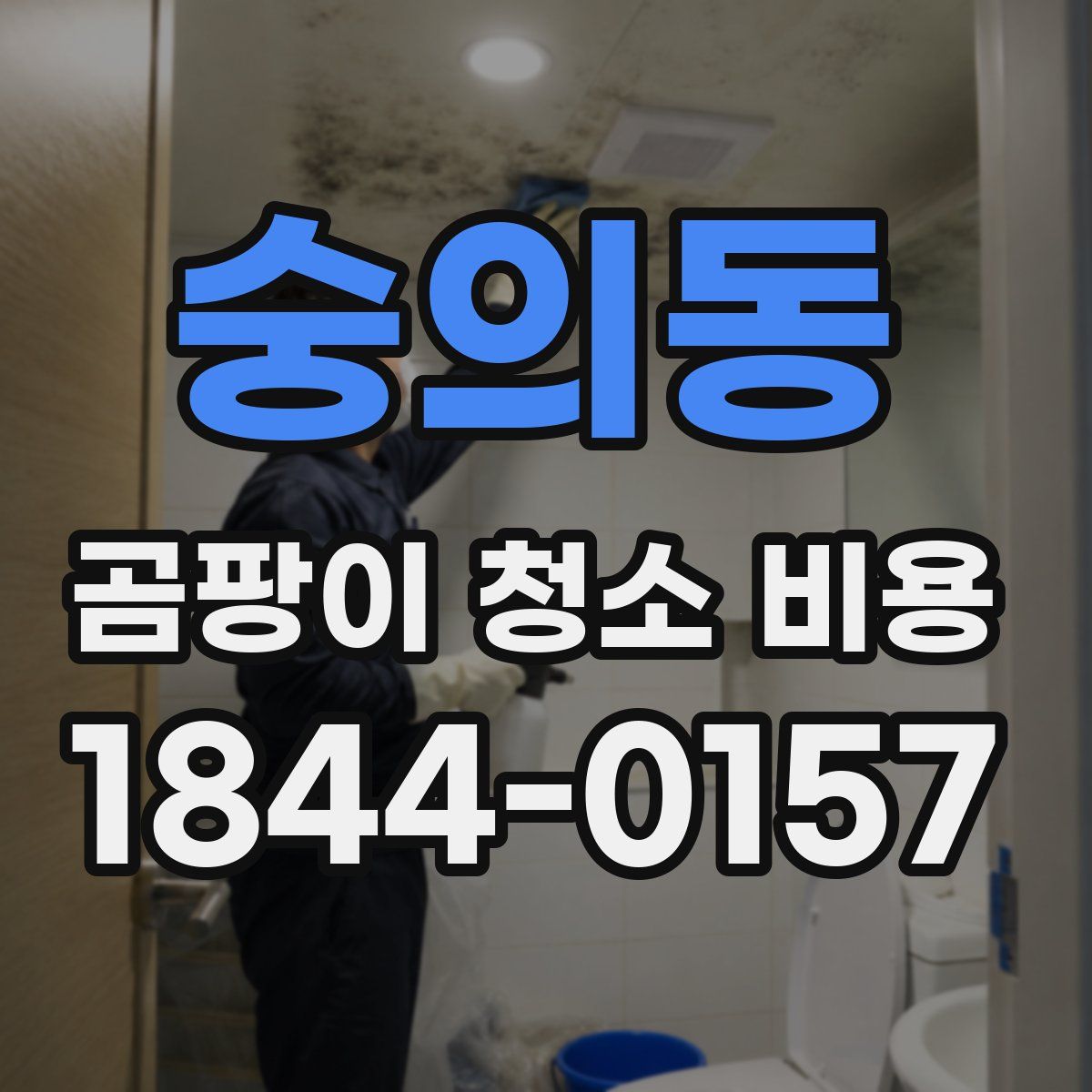 숭의동 곰팡이 청소 비용