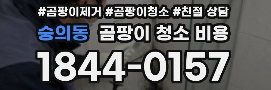 숭의동 곰팡이 청소 비용