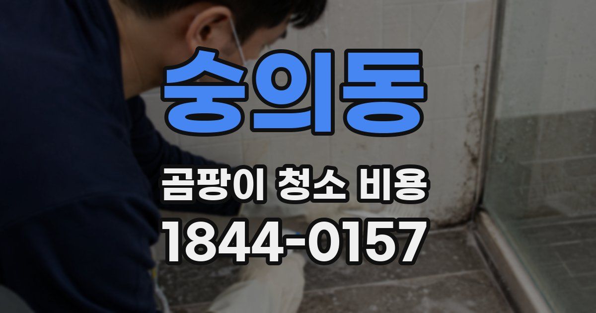 숭의동 곰팡이 청소 비용