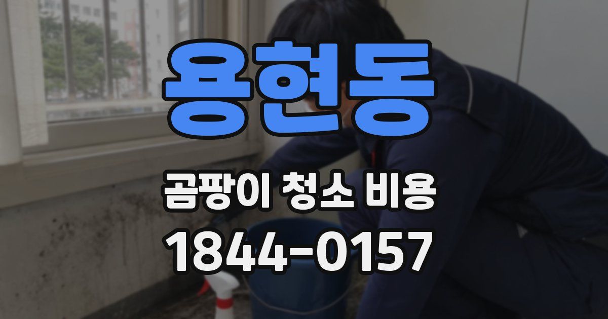 용현동 곰팡이 청소 비용