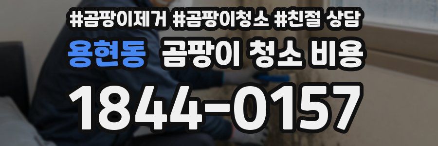 용현동 곰팡이 청소 비용