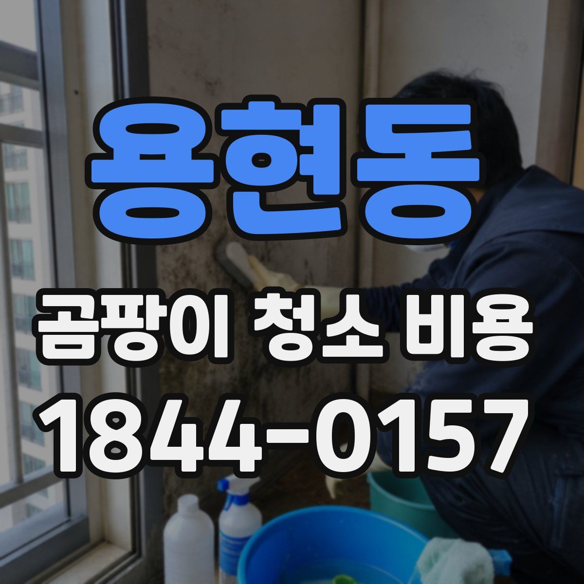용현동 곰팡이 청소 비용