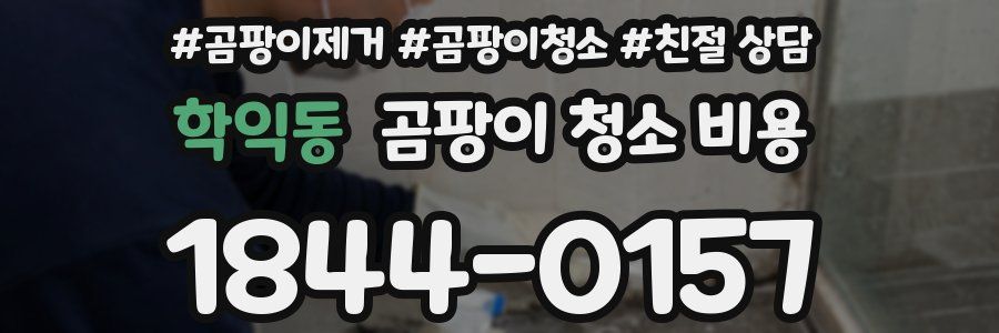 학익동 곰팡이 청소 비용