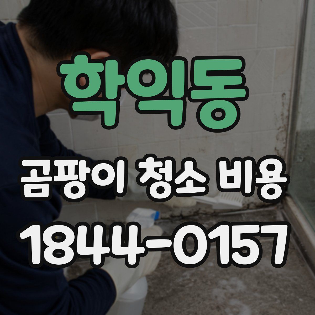 학익동 곰팡이 청소 비용