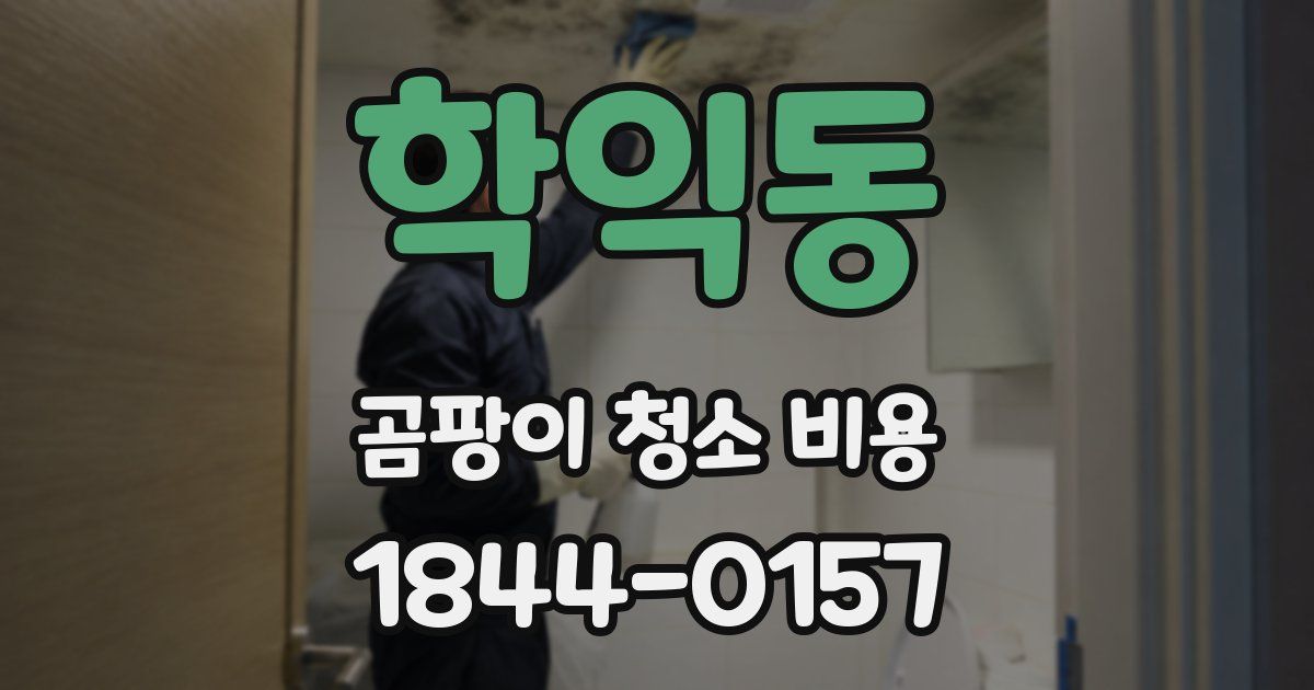 학익동 곰팡이 청소 비용