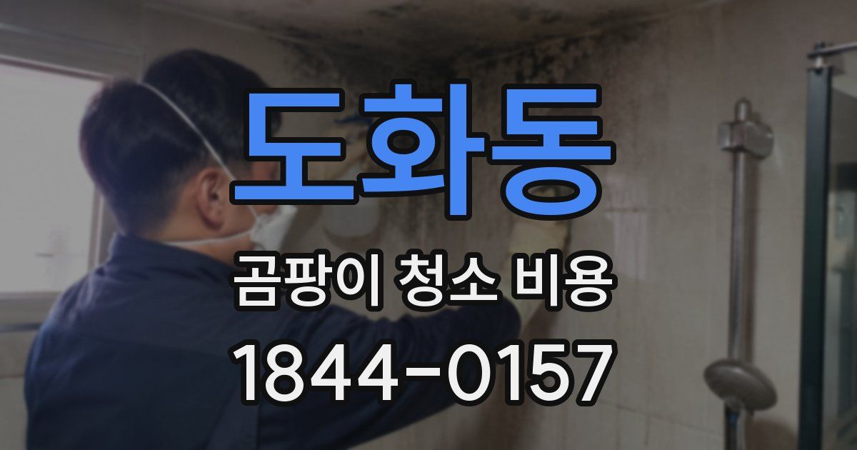도화동 곰팡이 청소 비용