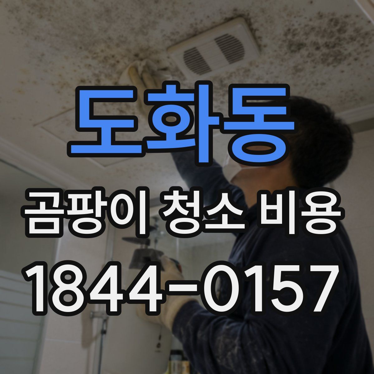 도화동 곰팡이 청소 비용