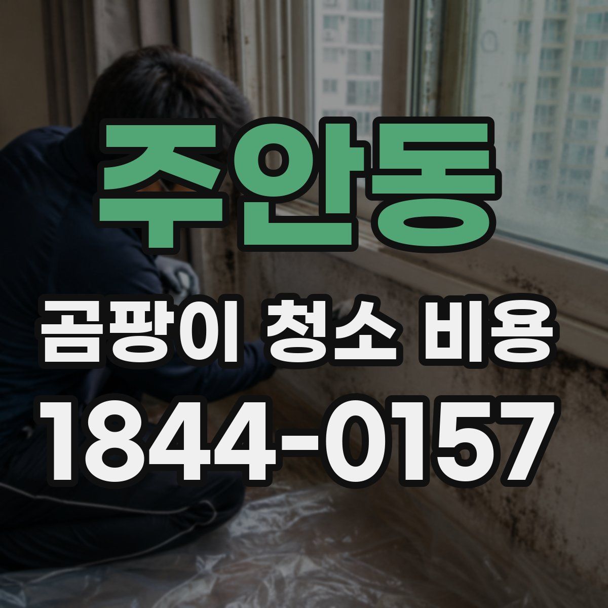 주안동 곰팡이 청소 비용