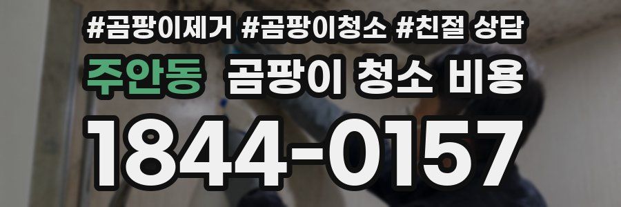 주안동 곰팡이 청소 비용