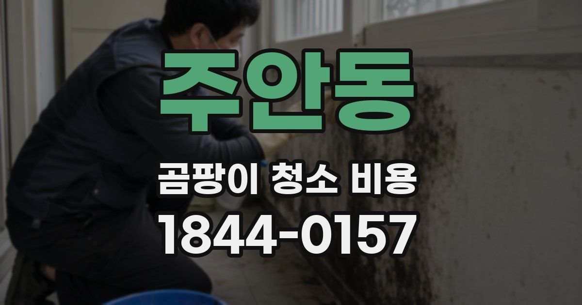 주안동 곰팡이 청소 비용