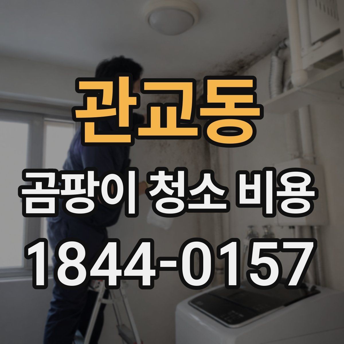 관교동 곰팡이 청소 비용 차이를 만드는 오염 정도