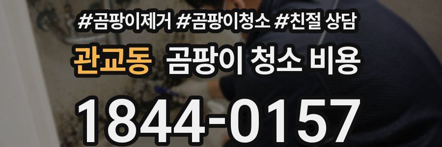 관교동 곰팡이 청소 비용