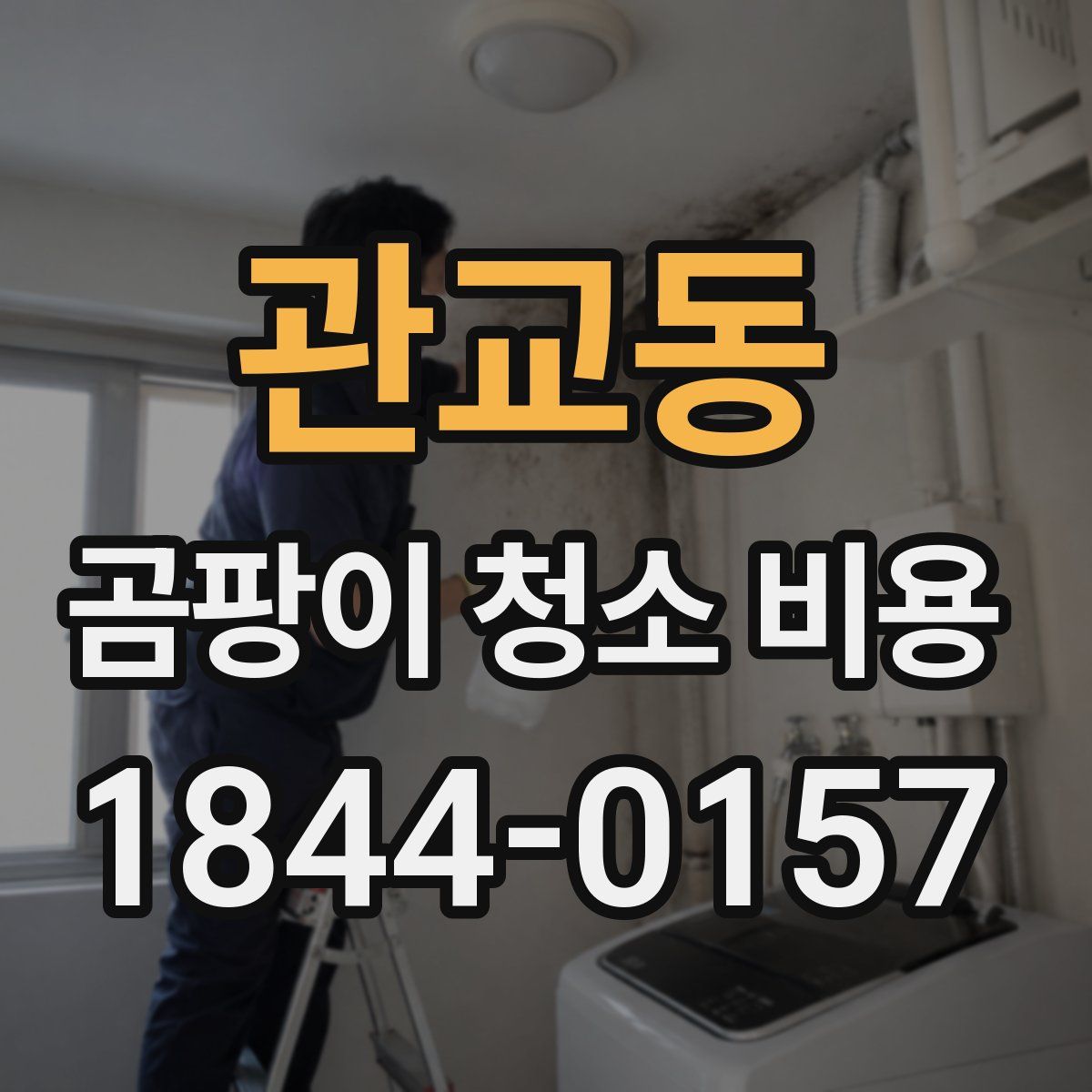 관교동 곰팡이 청소 비용