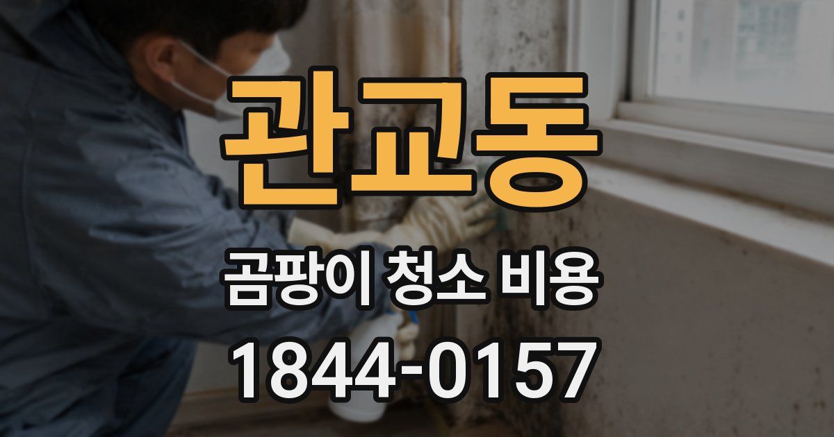관교동 곰팡이 청소 비용