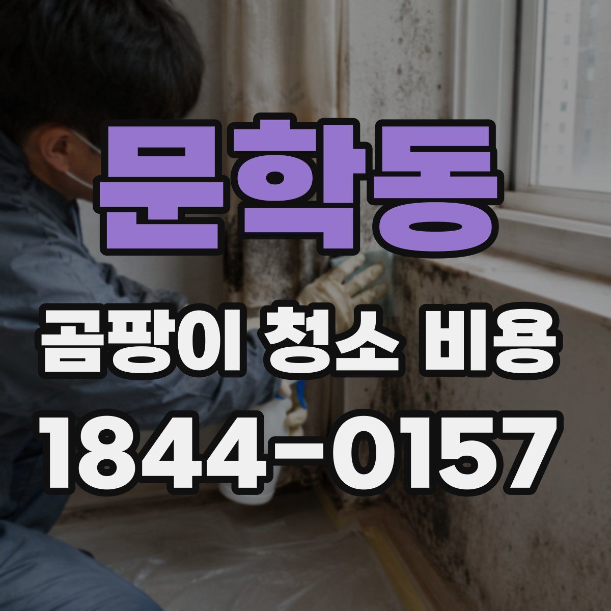 문학동 곰팡이 청소 비용