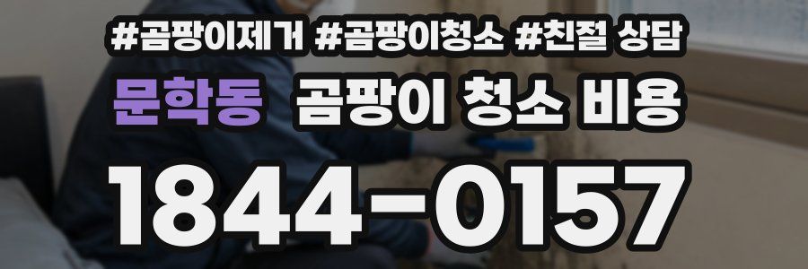 문학동 곰팡이 청소 비용