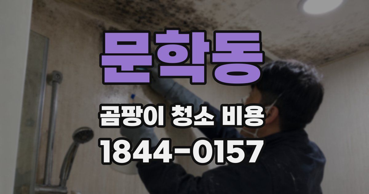 문학동 곰팡이 청소 비용