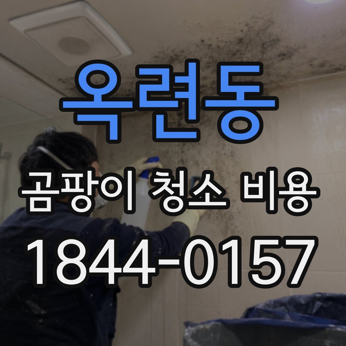 옥련동 곰팡이 청소 비용 산정에 필요한 현장 정보 모음