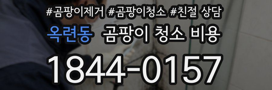 옥련동 곰팡이 청소 비용