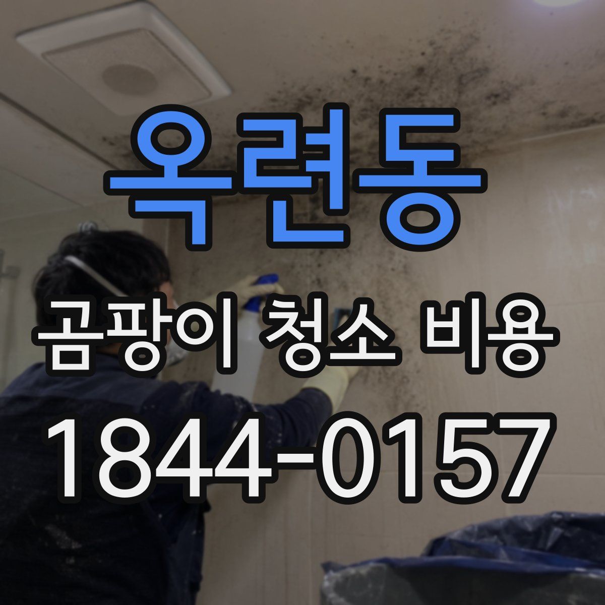 옥련동 곰팡이 청소 비용