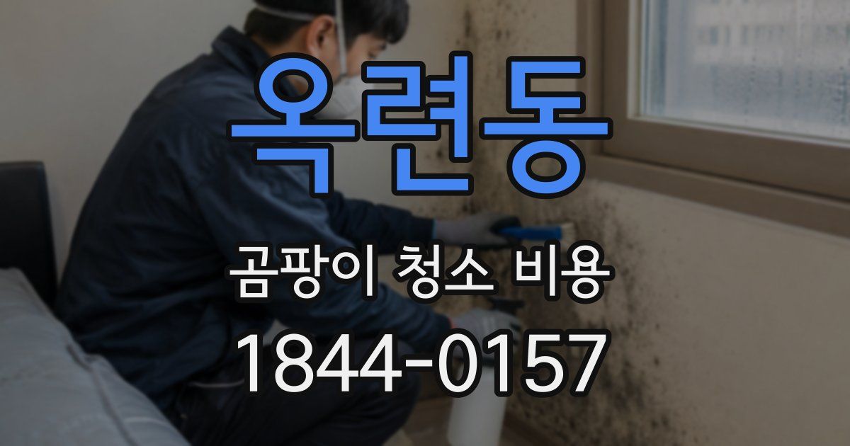 옥련동 곰팡이 청소 비용