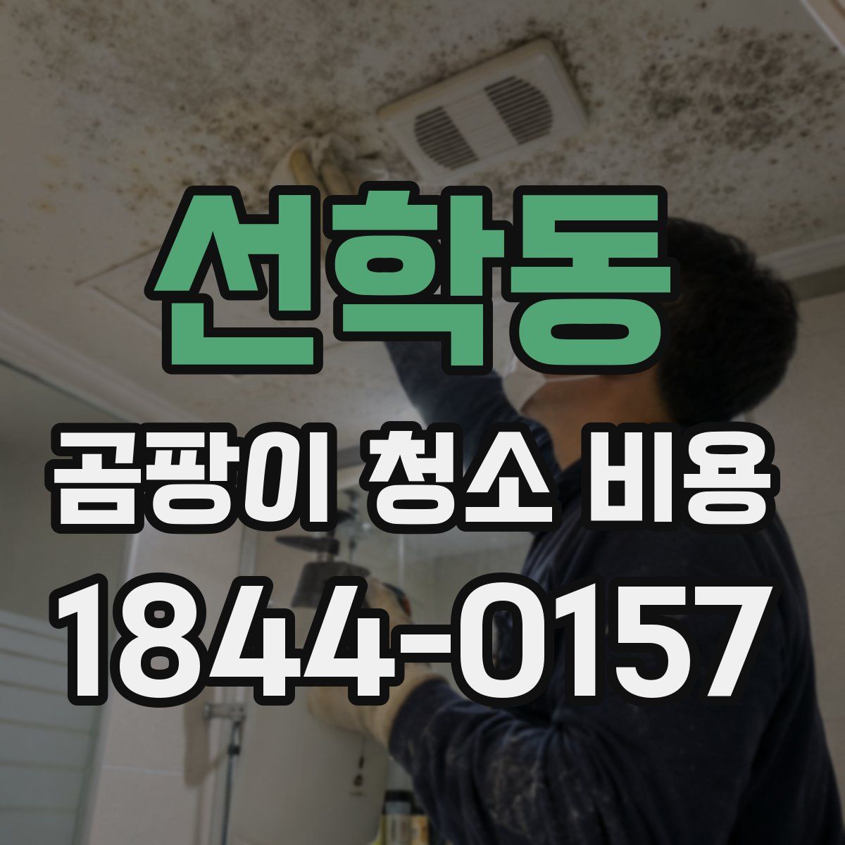 선학동 곰팡이 청소 비용