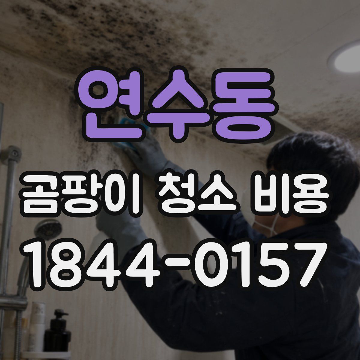 연수동 곰팡이 청소 비용