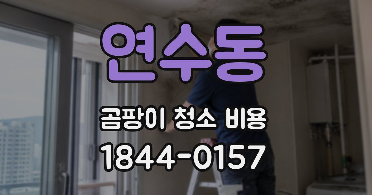 연수동 곰팡이 청소 비용