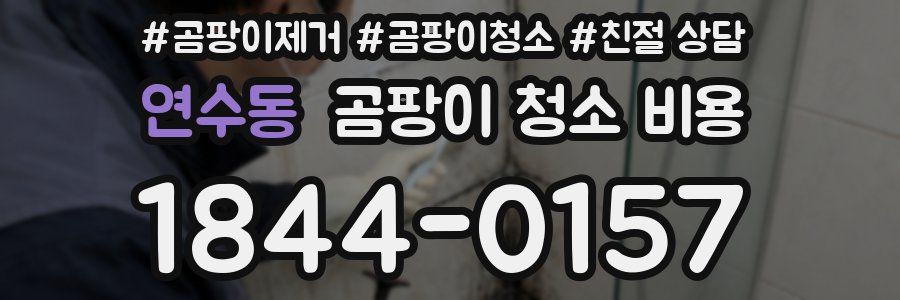 연수동 곰팡이 청소 비용