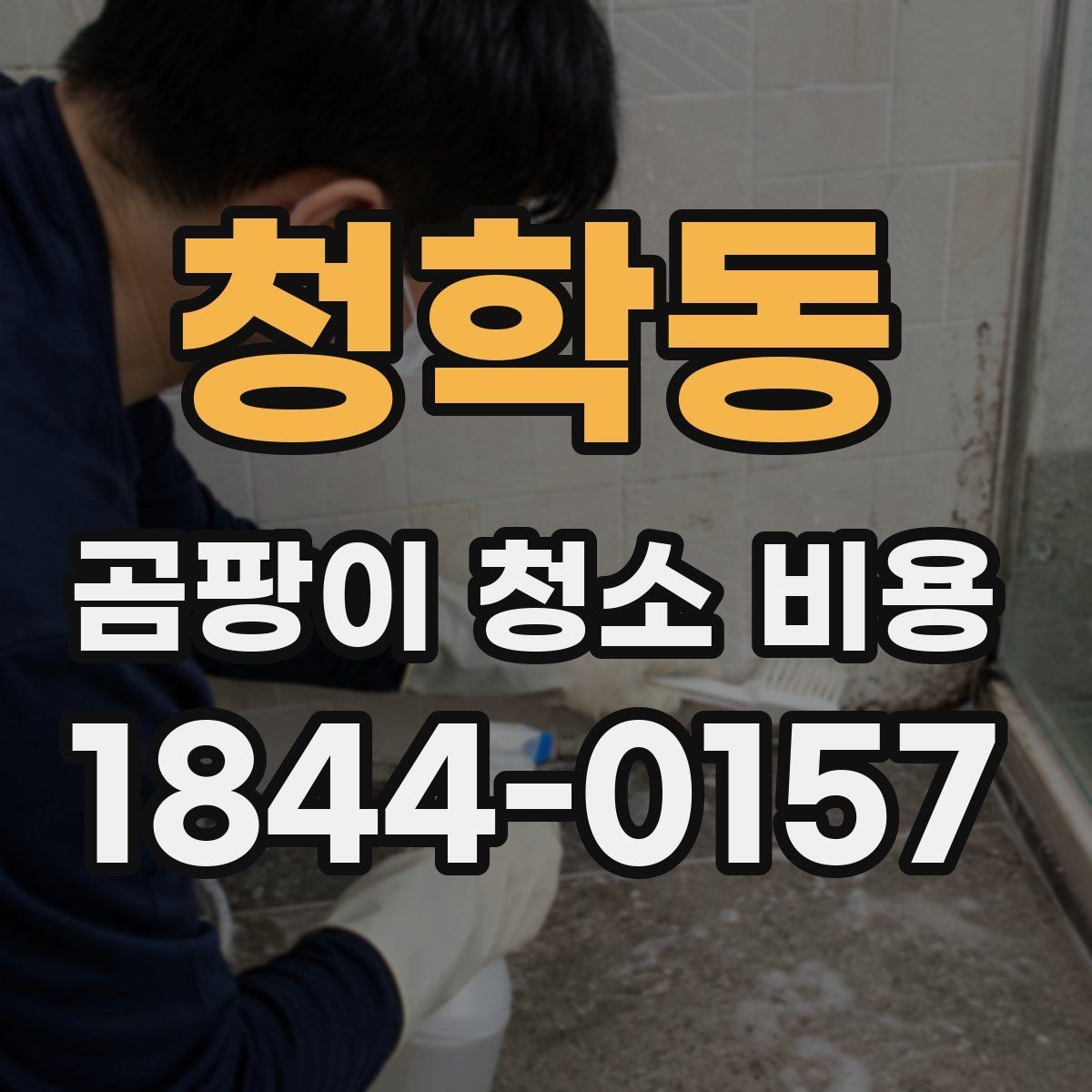 청학동 곰팡이 청소 비용 비교 시 서비스 내용 구분하기