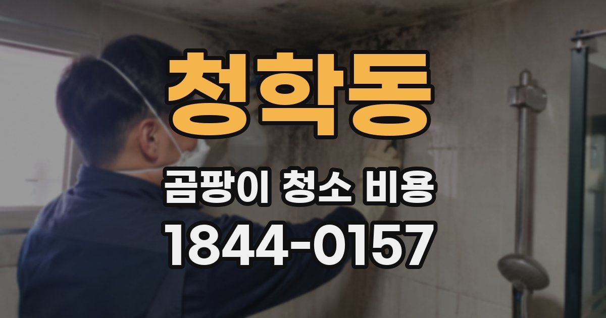 청학동 곰팡이 청소 비용
