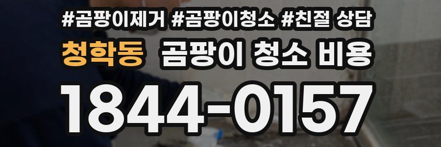 청학동 곰팡이 청소 비용