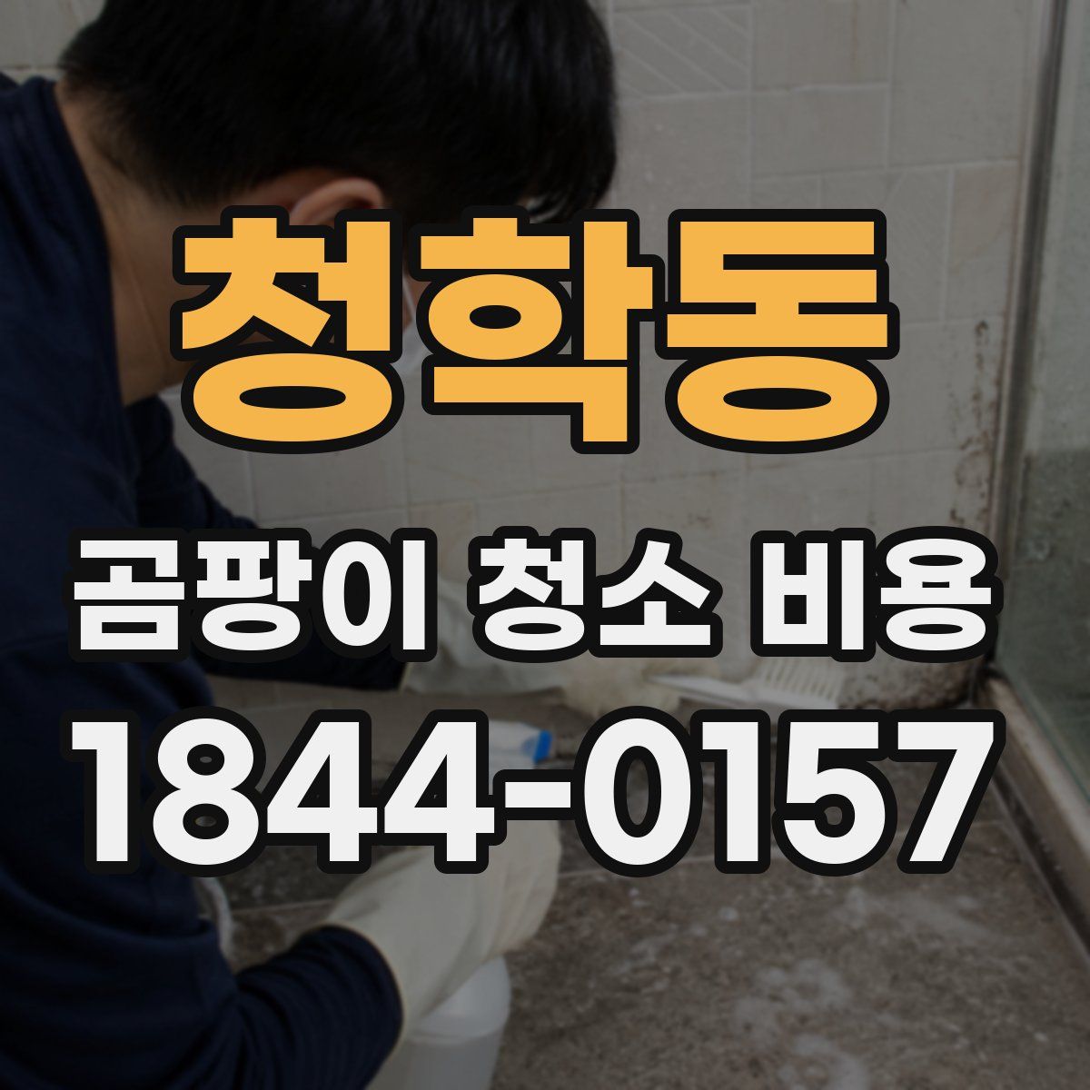 청학동 곰팡이 청소 비용