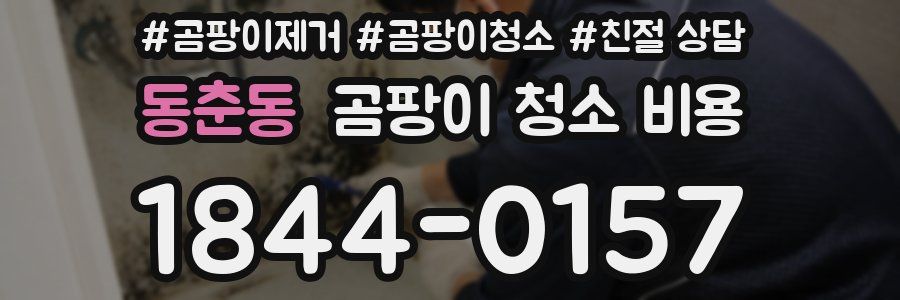 동춘동 곰팡이 청소 비용