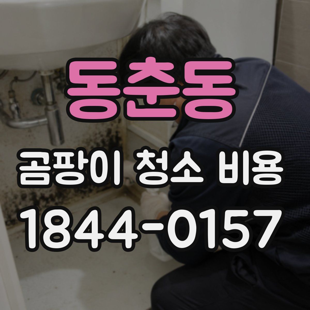 동춘동 곰팡이 청소 비용