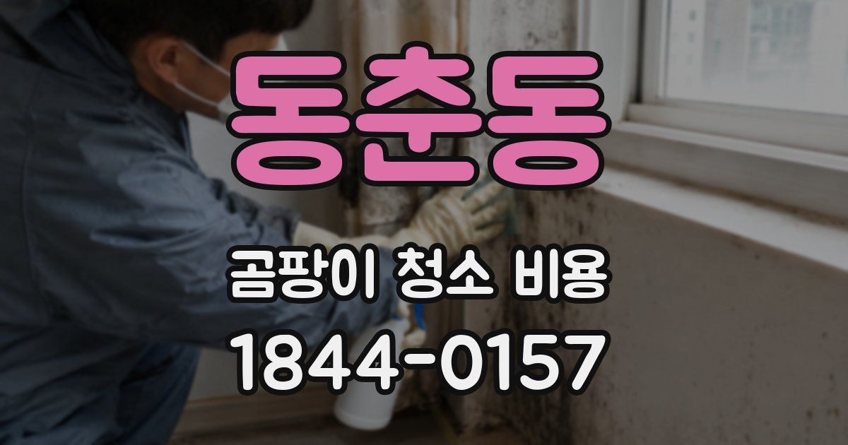 동춘동 곰팡이 청소 비용