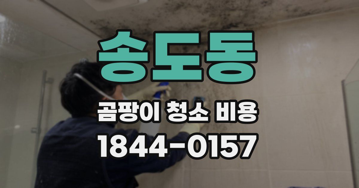 송도동 곰팡이 청소 비용